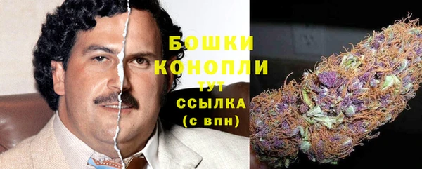 дживик Баксан