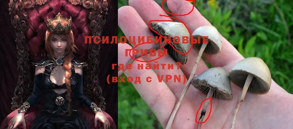 гашишное масло Белокуриха