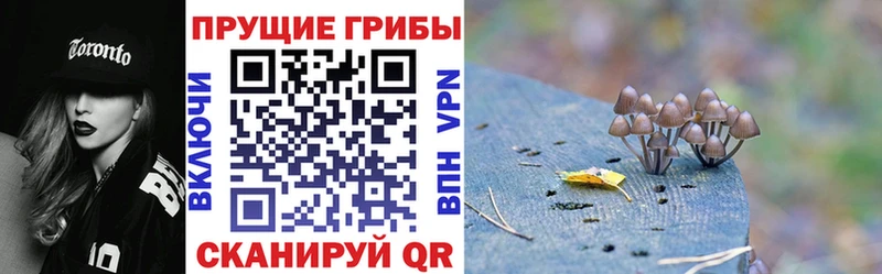 Галлюциногенные грибы ЛСД  кракен онион  Кологрив 